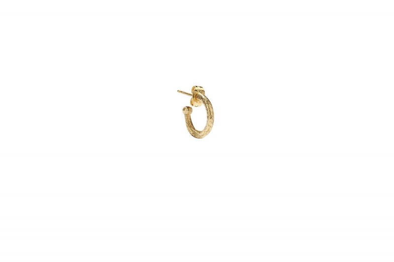 Eres Goossens Hoop Earring Laiton Dore Smykker Dame Guld | 31095ARZC